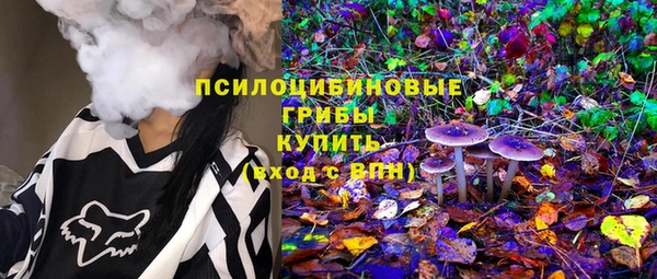 дурь Алексеевка