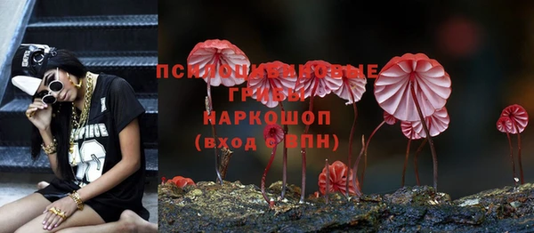 дурь Алексеевка